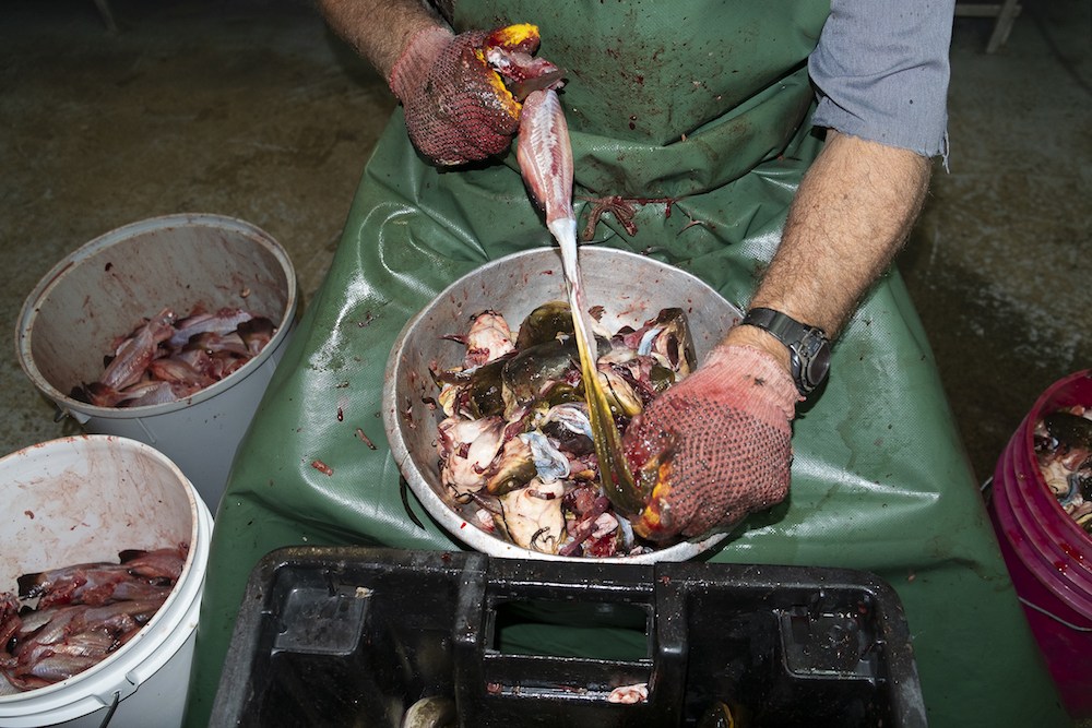 La dernière pêche — Photoreportage 3