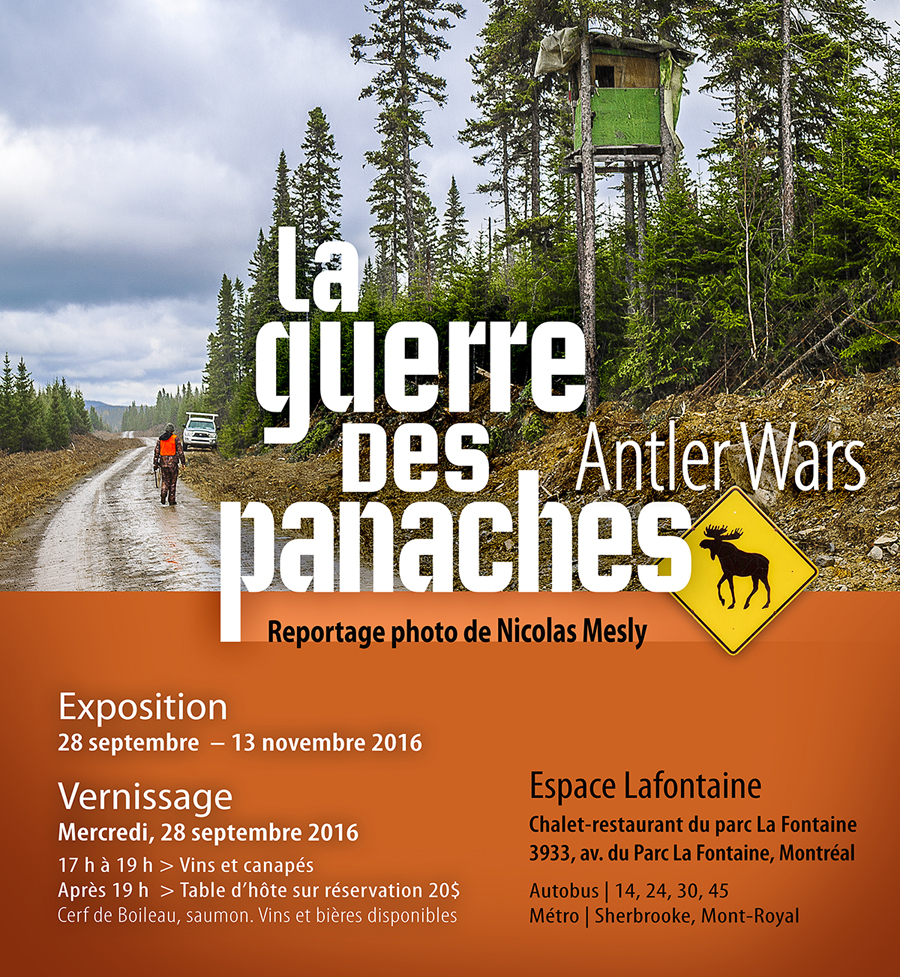 La guerre des panaches — Nicolas Mesly