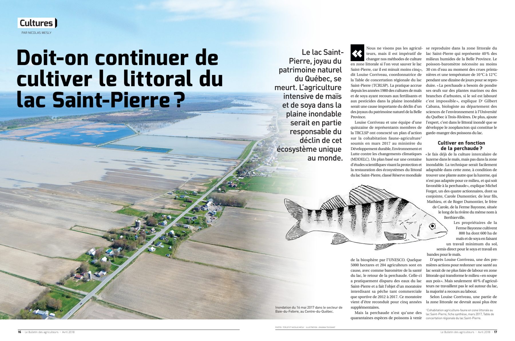 La publication originale — 1