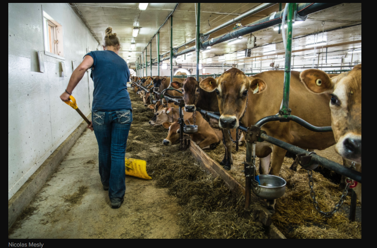 Quand l’agriculture tue — Nicolas Mesly